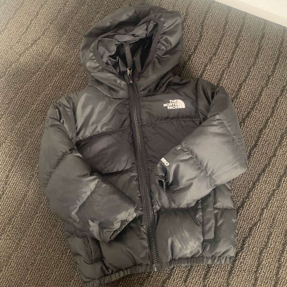 North face jacket 550